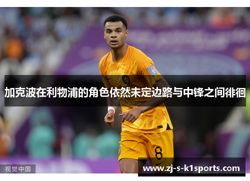 加克波在利物浦的角色依然未定边路与中锋之间徘徊